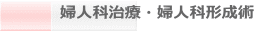 『婦人科治療・婦人科形成術』